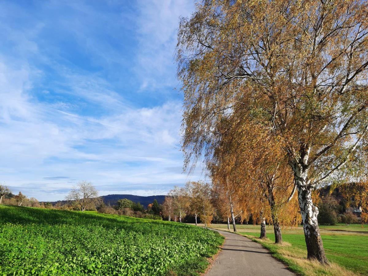 Ferienwohnung Odenwaldflair Reichelsheim Екстер'єр фото