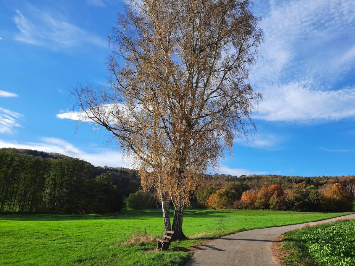 Ferienwohnung Odenwaldflair Reichelsheim Екстер'єр фото